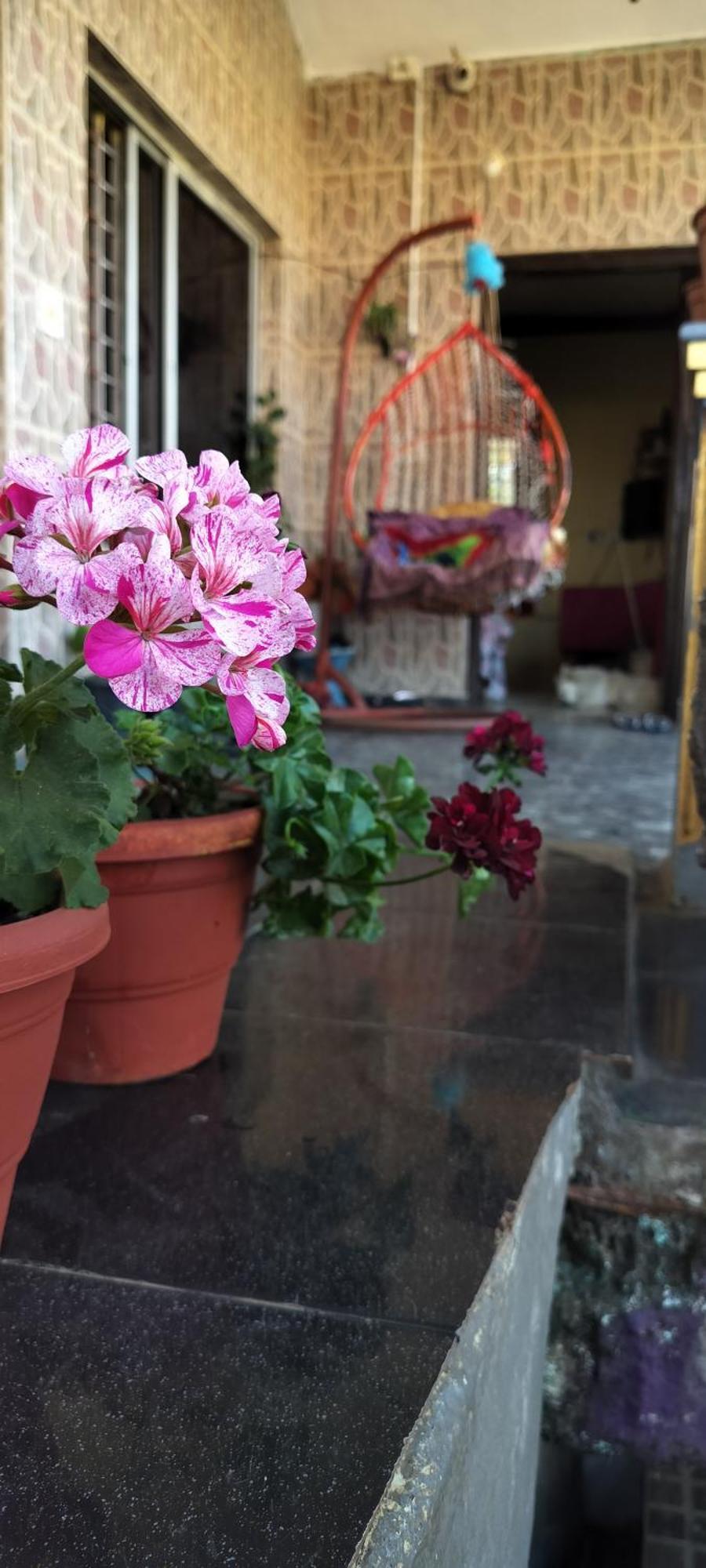 Royal Palm Homestay 马迪凯里 外观 照片
