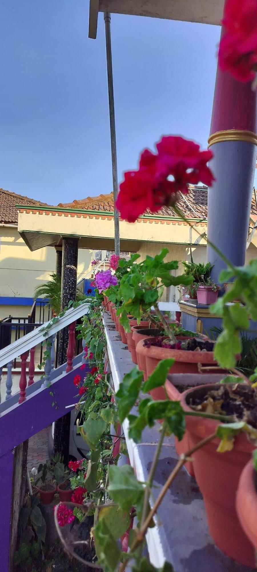 Royal Palm Homestay 马迪凯里 外观 照片