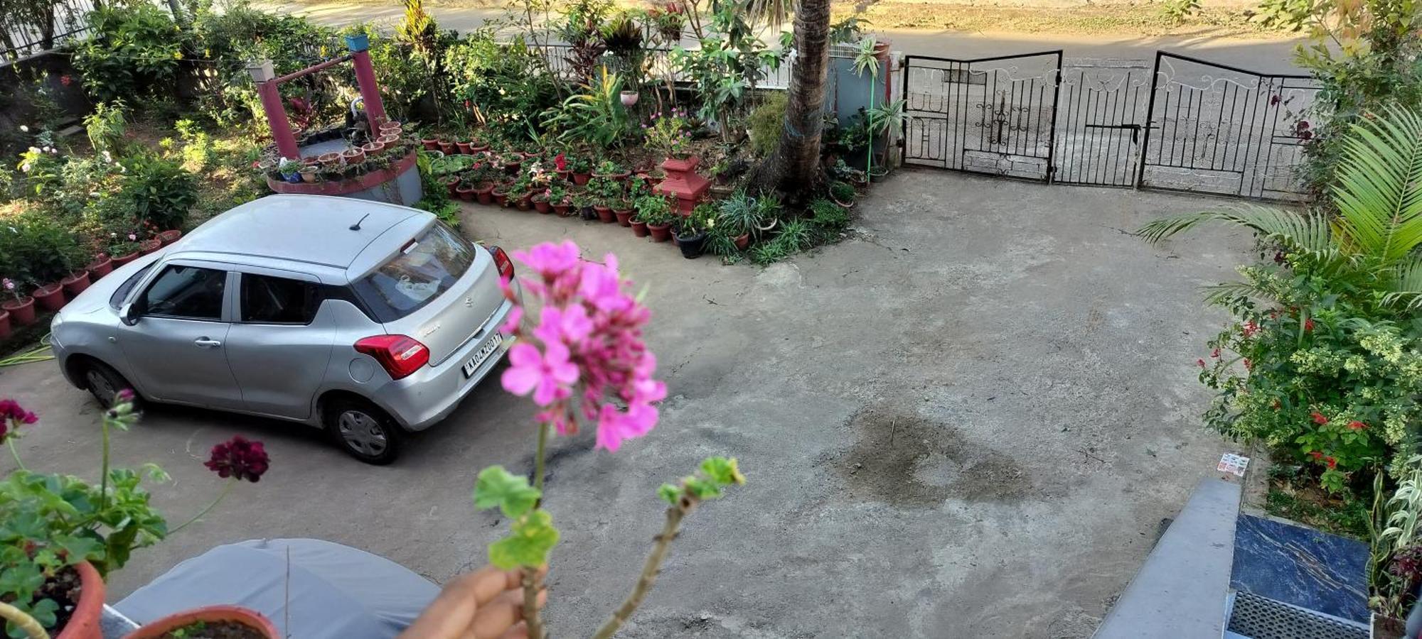 Royal Palm Homestay 马迪凯里 外观 照片
