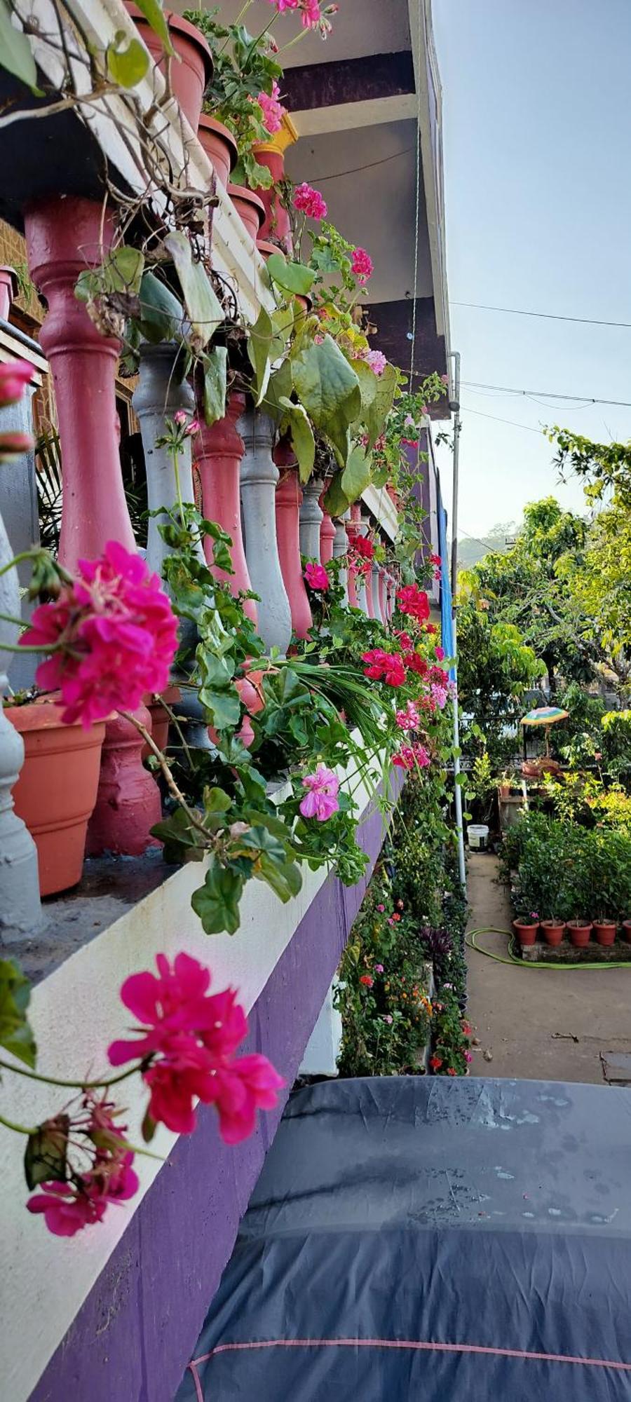 Royal Palm Homestay 马迪凯里 外观 照片