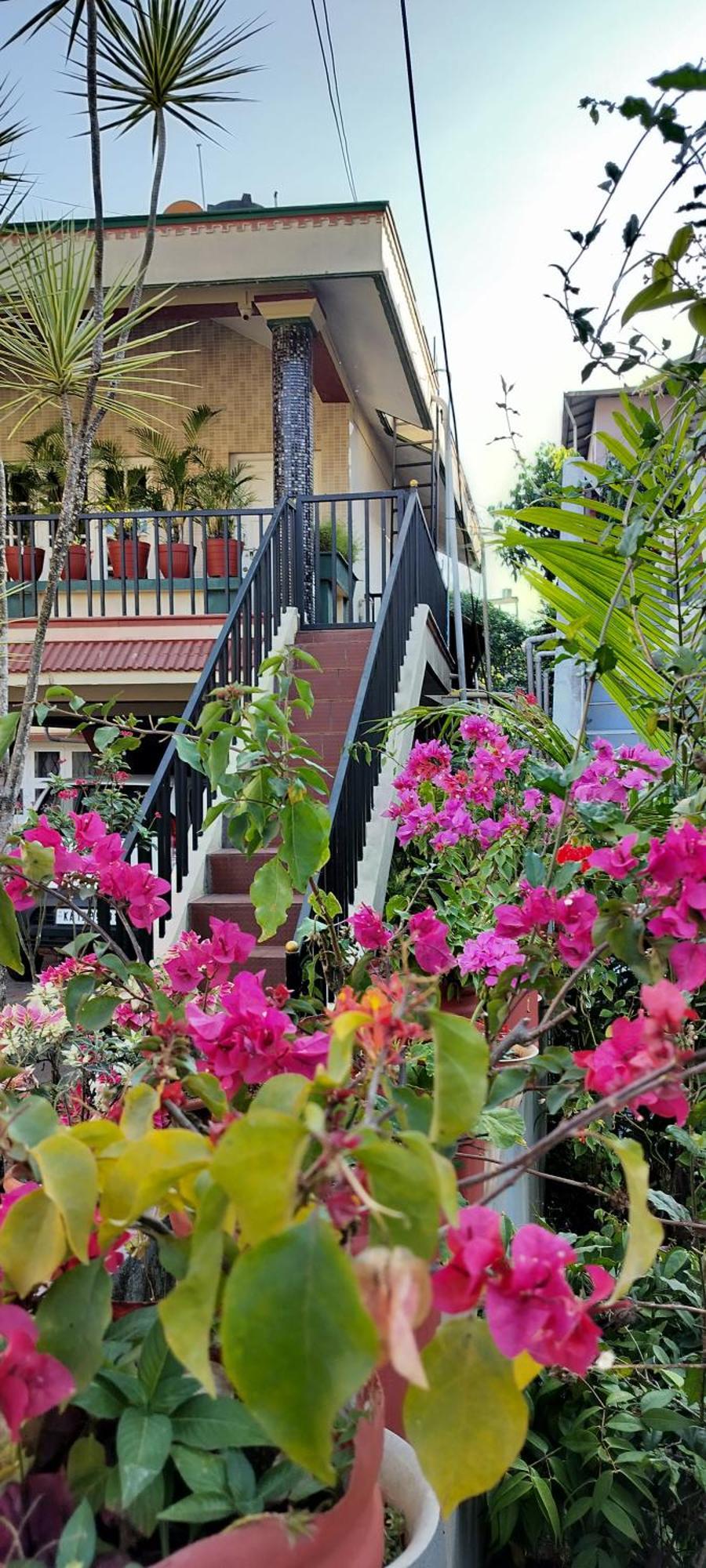 Royal Palm Homestay 马迪凯里 外观 照片